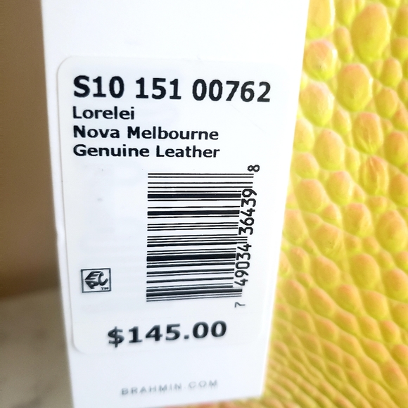 Brahmin - Picture 5 of 7